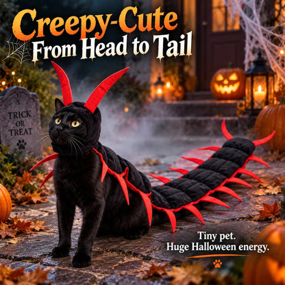 😼🕷Halloween Cat Centipede Costume, Funny Pet Role Play Outfit with Adjustable Shoulder Straps